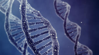 DNA van je dak