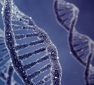 DNA van je dak