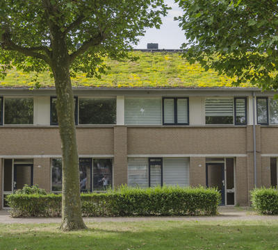 En de kleur is ... groen!