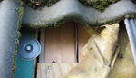 WSW Dakopbouw