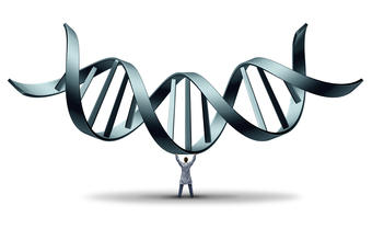 Daken DNA