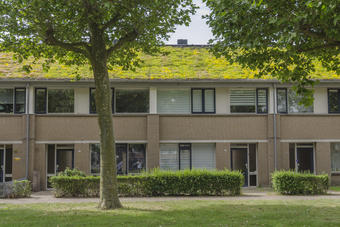 En de kleur is ... groen!